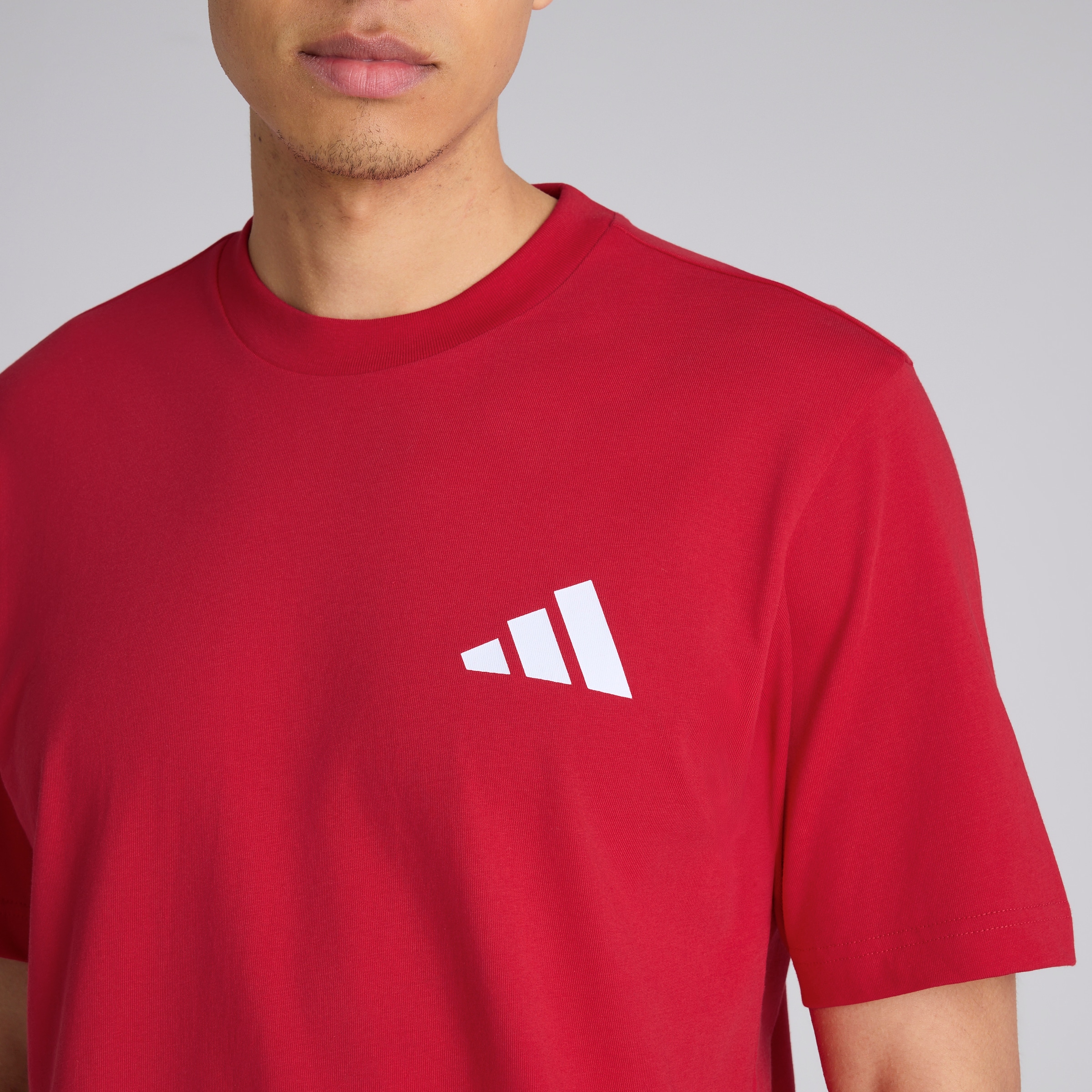 Manchester United x adidas Seasonal Graphic T-Shirt Red Rot Detail [4-5]