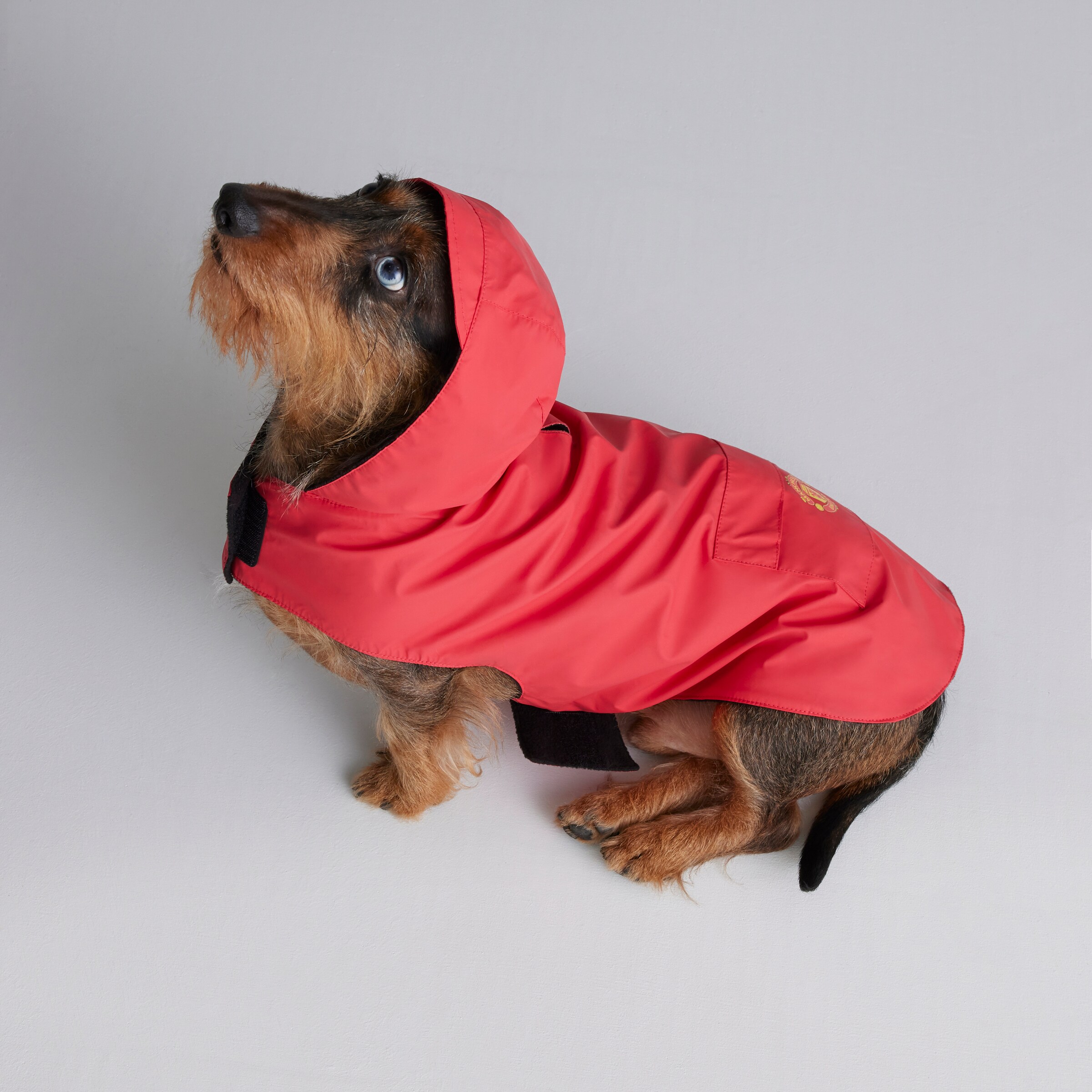 Manchester United Dog Jacket Red Red Detail [4-6]