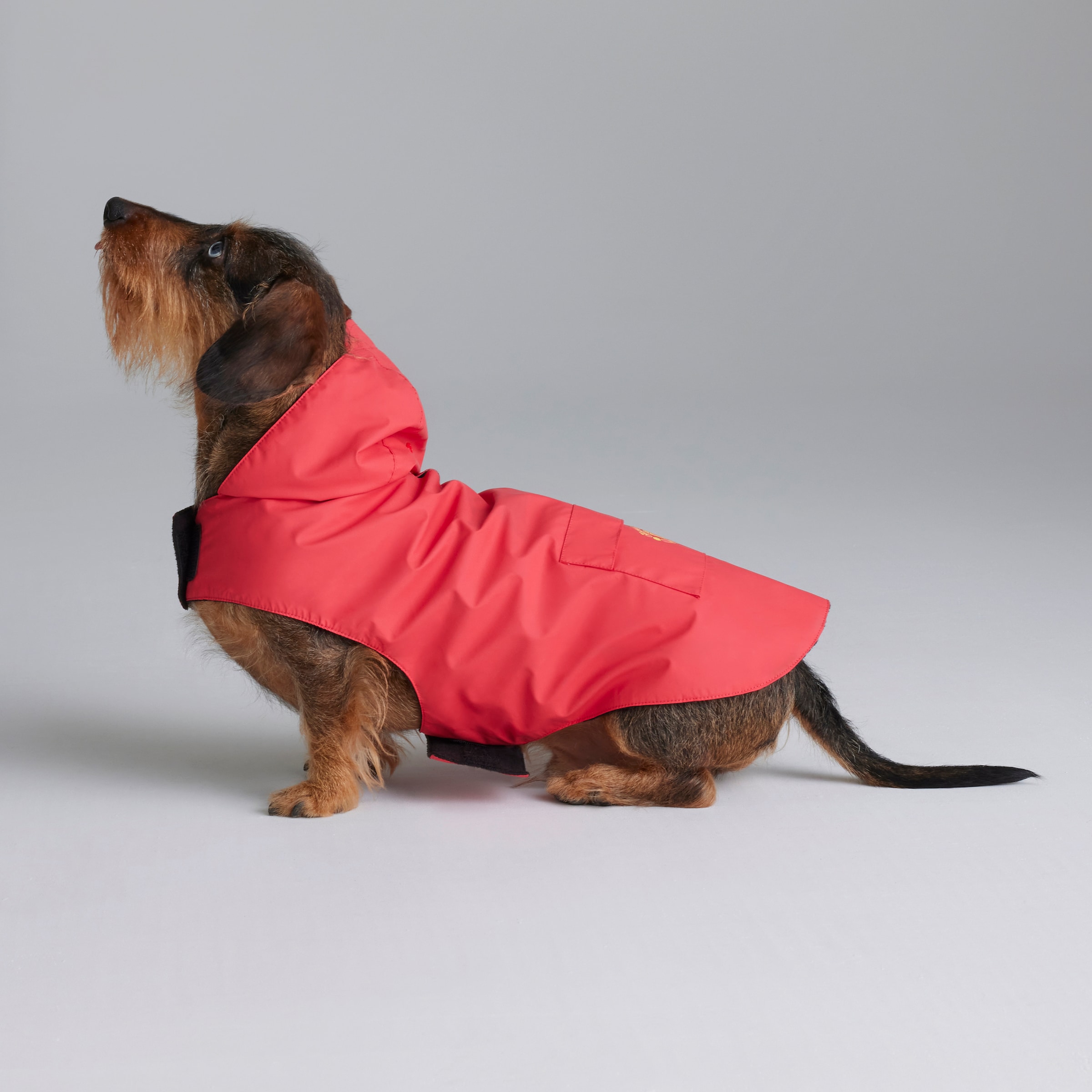 Manchester United Dog Jacket Red Red Detail [2-6]
