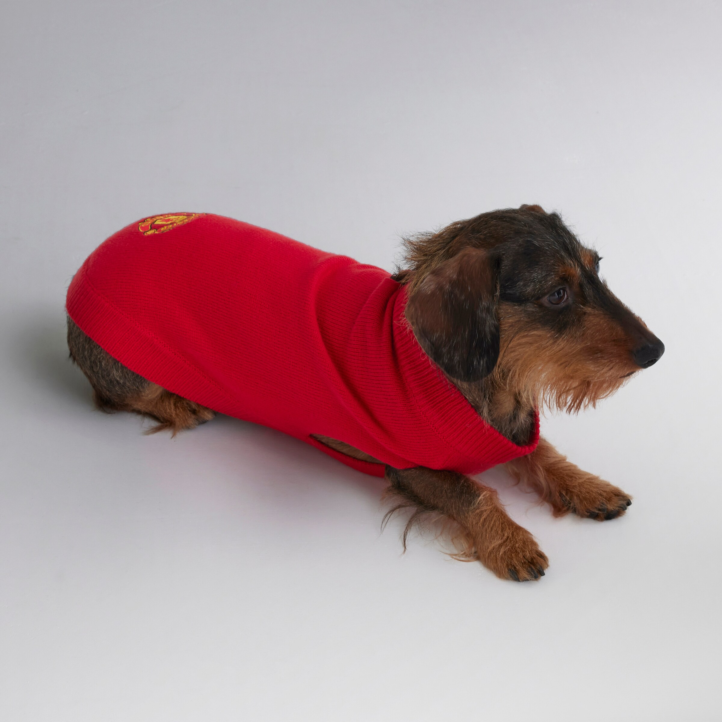 Manchester United Knitted Dog Jumper Red Red Detail [3-4]