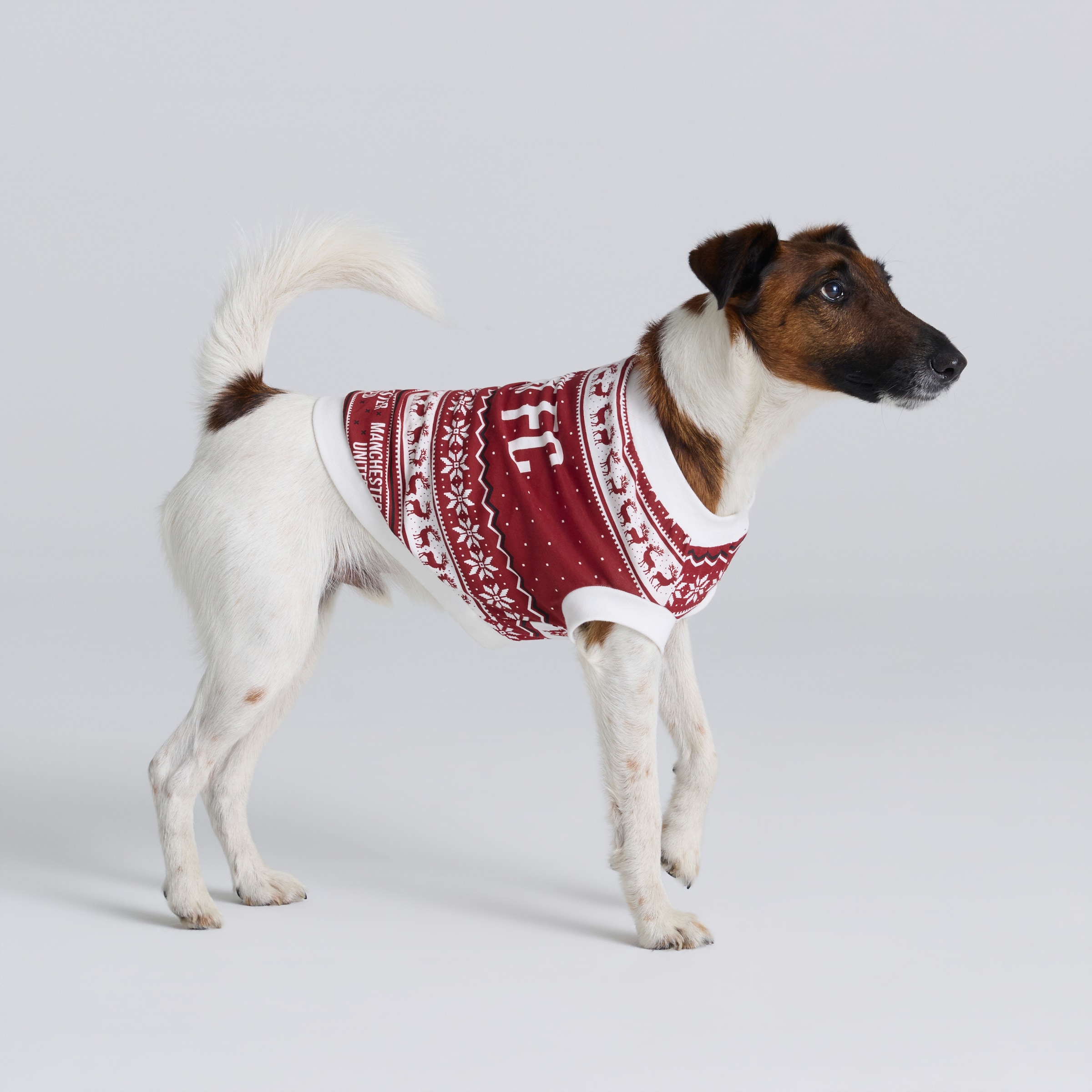 Manchester United Pet Christmas Fairisle Pyjamas Red Multi Detail [3-5]