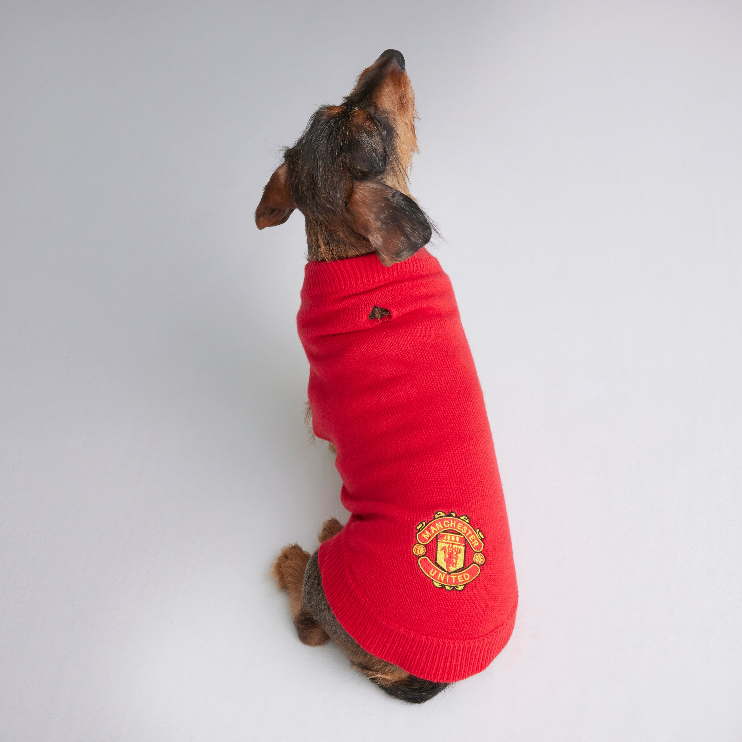 Manchester United Knitted Dog Jumper Red Red Detail [2-4]