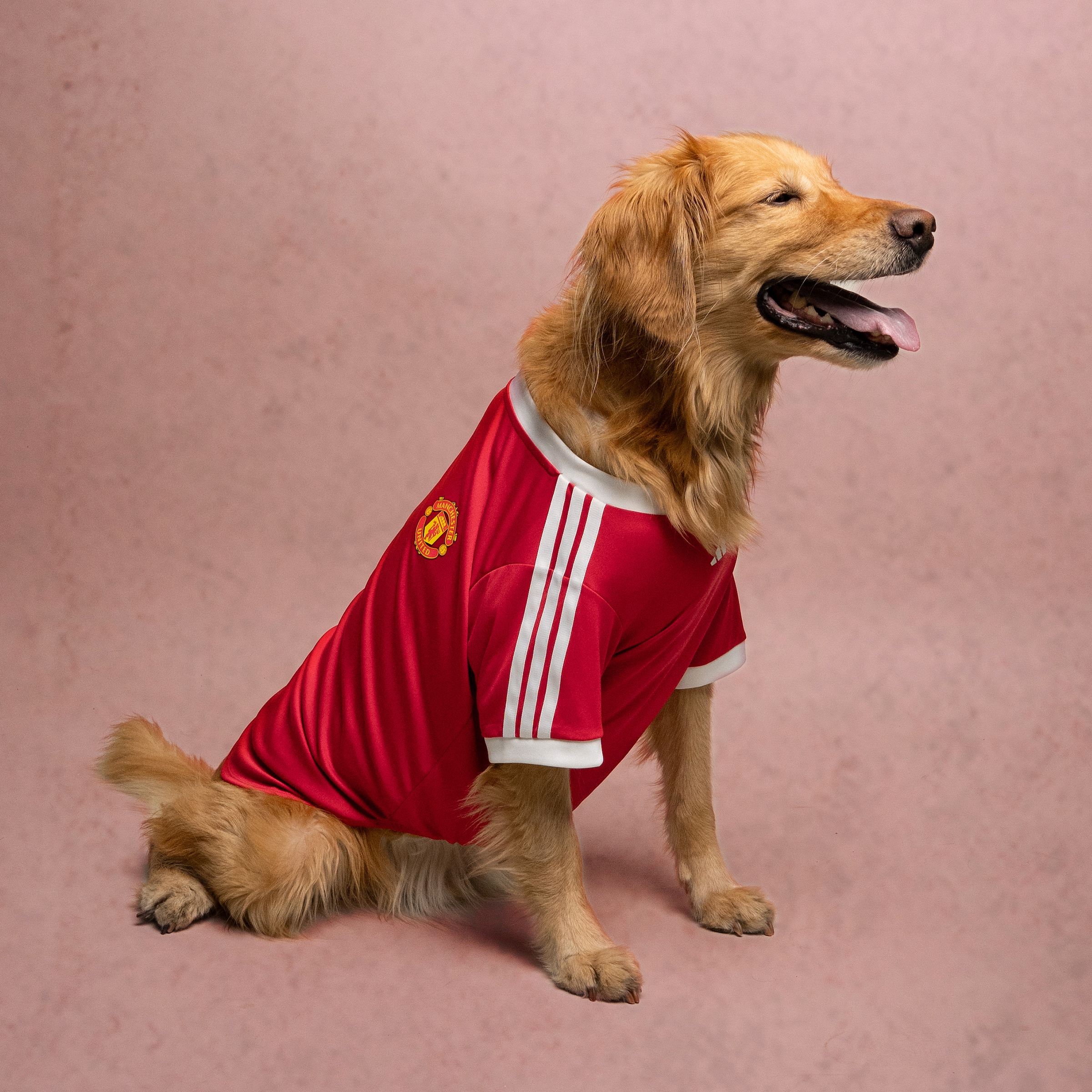Manchester United x adidas Pet Home Jersey Red Red Detail [2-6]