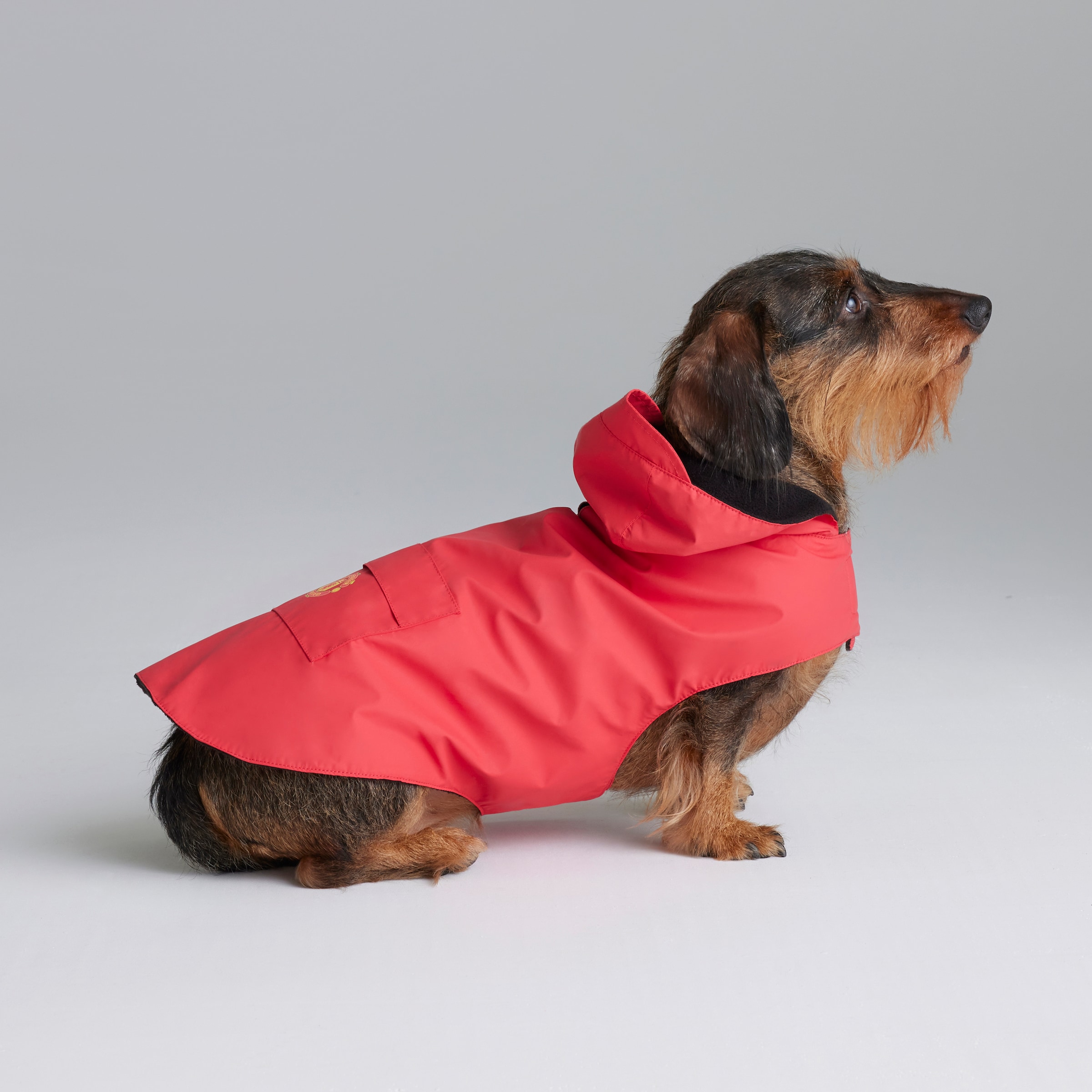 Manchester United Dog Jacket Red Red