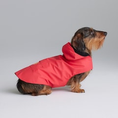 Manchester United Dog Jacket Red