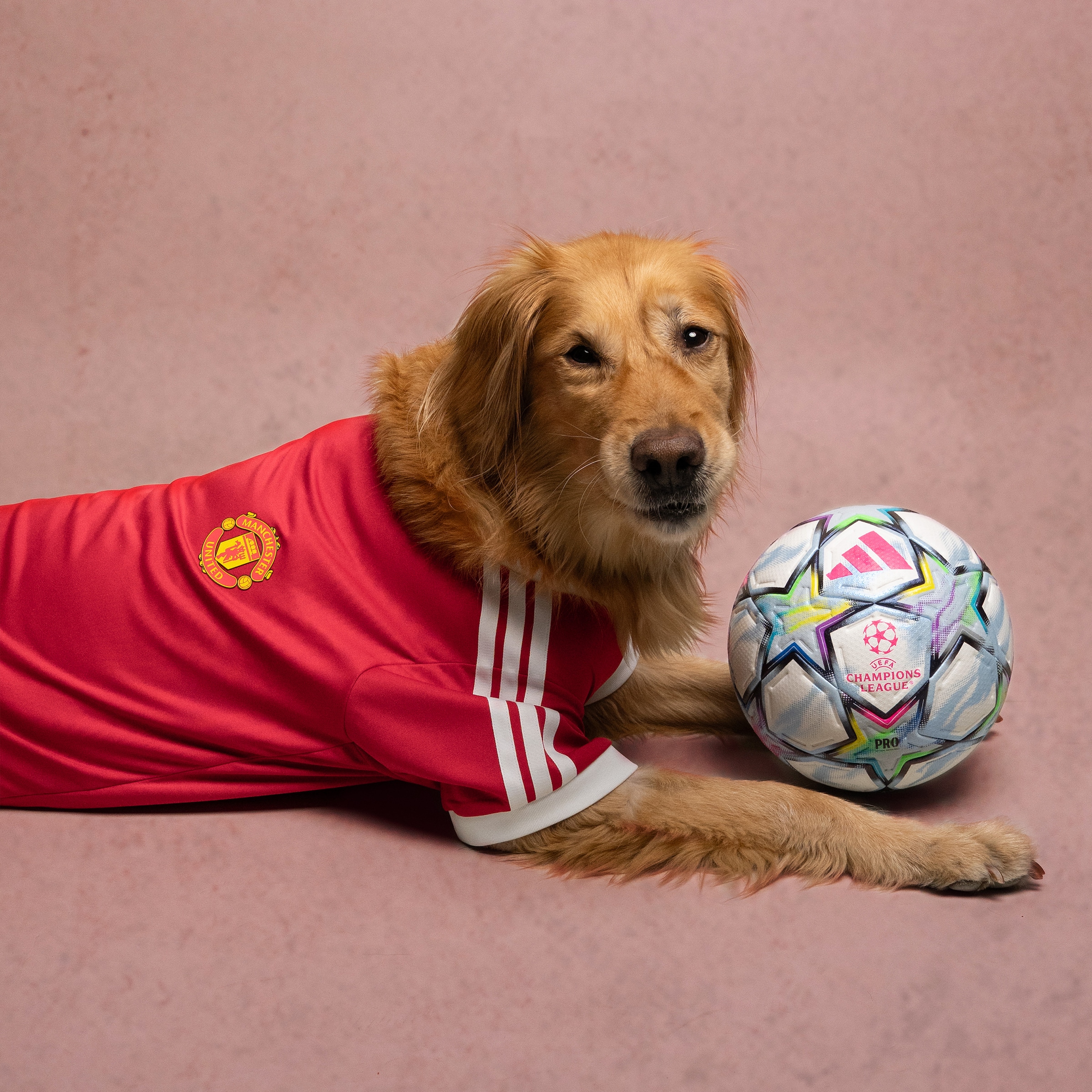 Manchester United x adidas Pet Home Jersey Red Red Detail [4-6]
