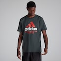 Camiseta Gráfica Seasonal de Manchester United Gris Oscuro