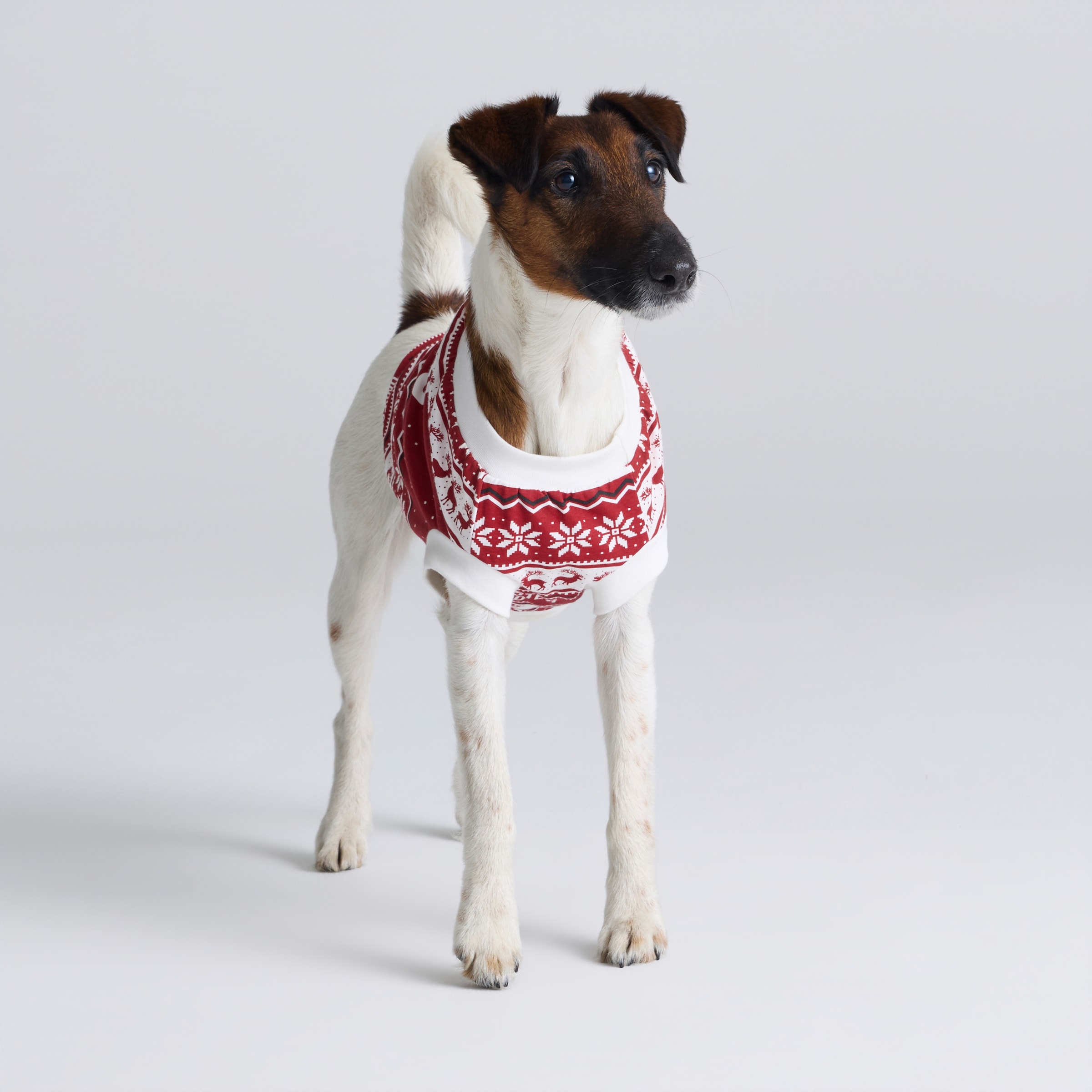 Manchester United Pet Christmas Fairisle Pyjamas Red Multi Detail [4-5]