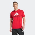 Manchester United x adidas Seasonal Graphic T-Shirt