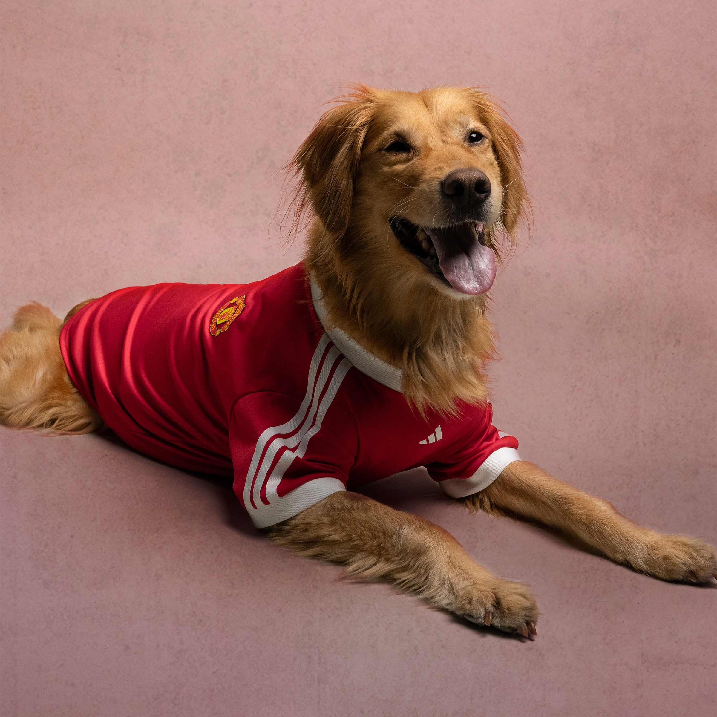 Manchester United x adidas Pet Home Jersey Red Red Detail [3-6]