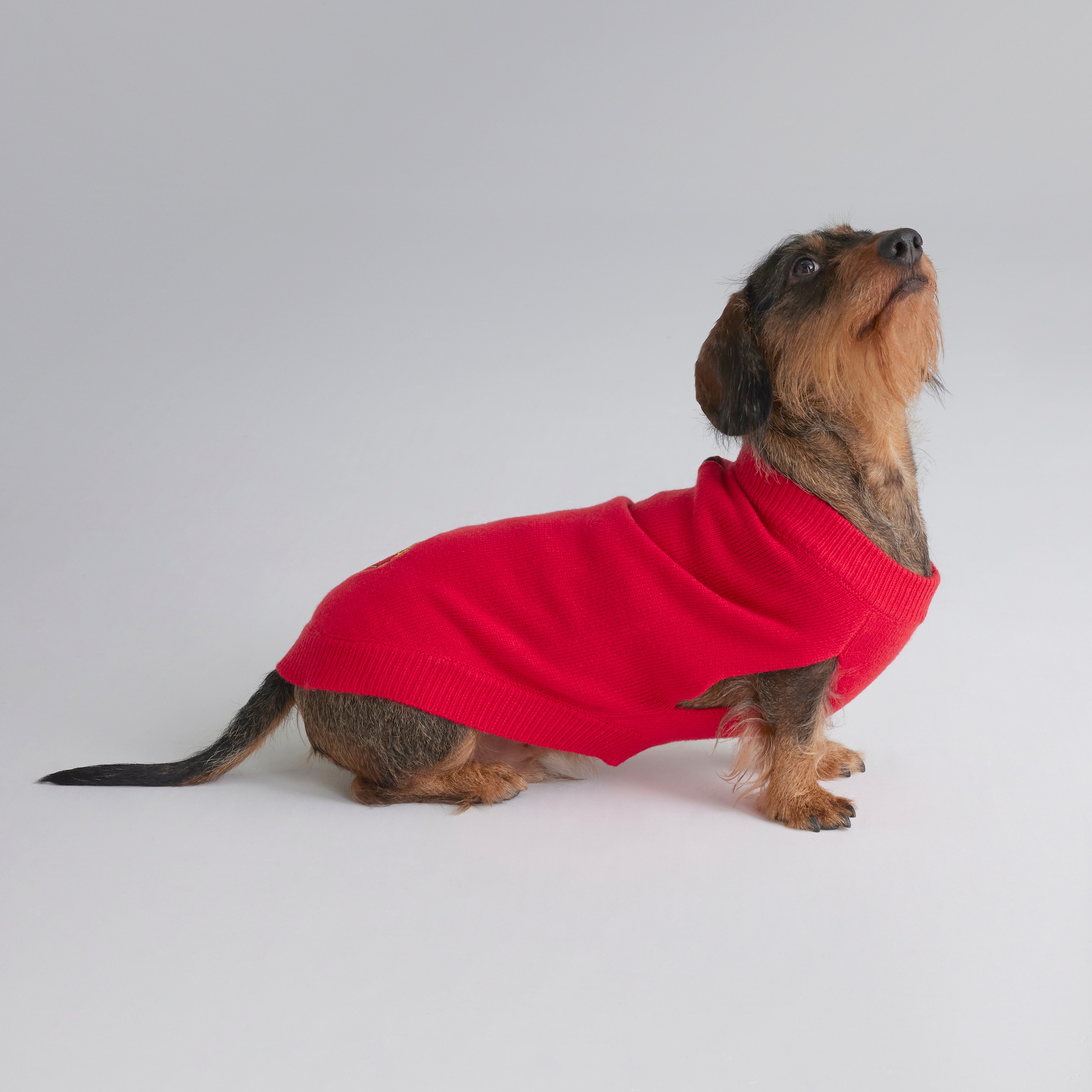 Manchester United Knitted Dog Jumper Red Red