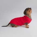 Manchester United Knitted Dog Jumper Red