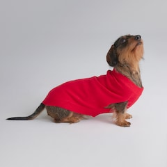 Manchester United Knitted Dog Jumper Red