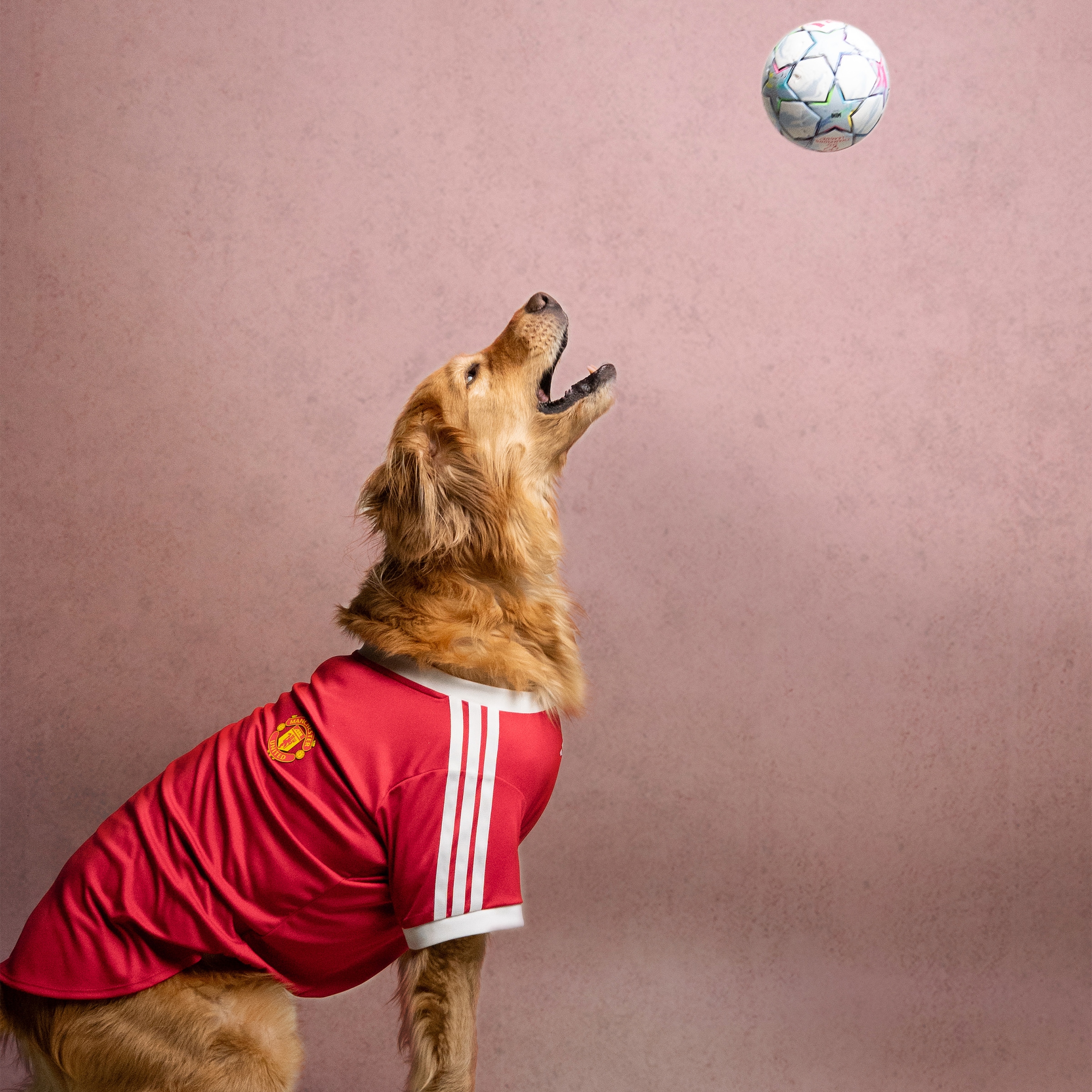 Manchester United x adidas Pet Home Jersey Red Red Detail [1-6]