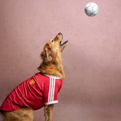 Manchester United x adidas Pet Home Jersey Red