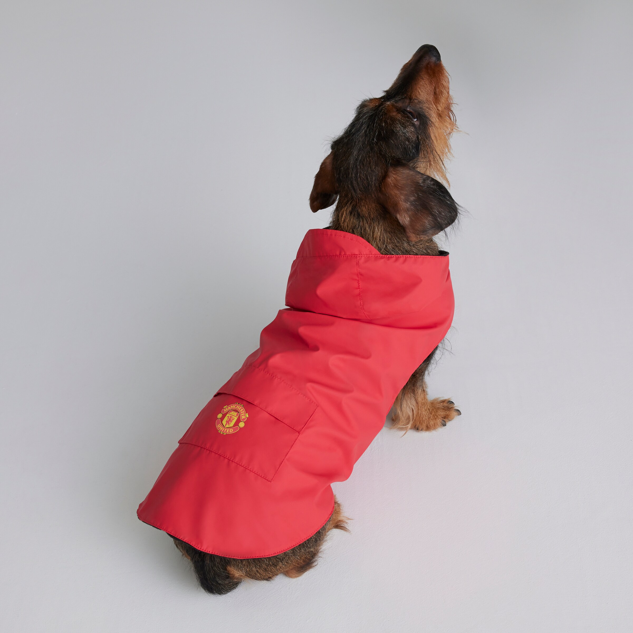 Manchester United Dog Jacket Red Red Detail [6-6]