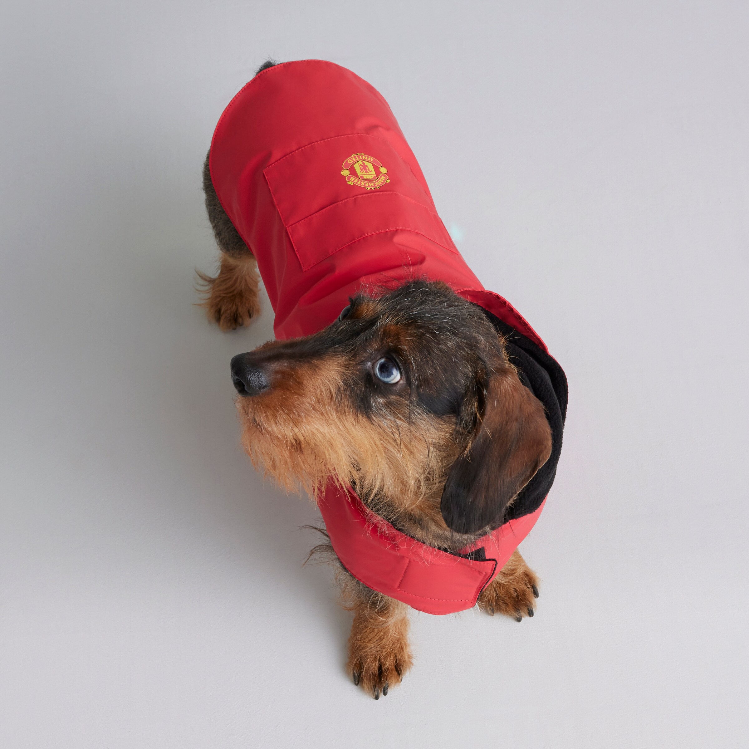 Manchester United Dog Jacket Red Red Detail [5-6]